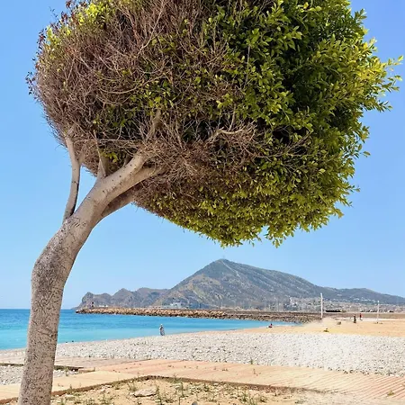 New Calm & Charming Loft Apartment